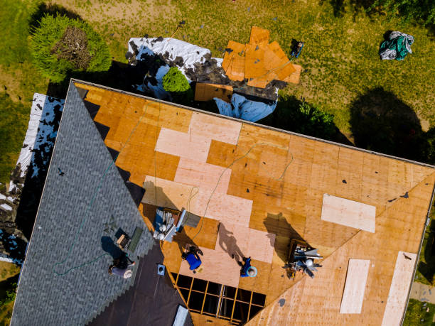 Best Storm Damage Roof Repair  in Daphne, AL